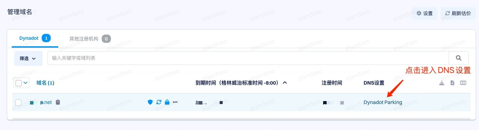 点击进入DNS设置