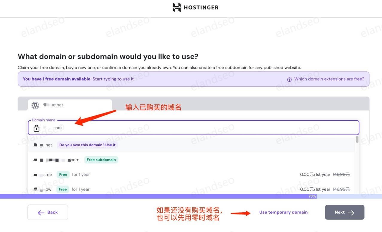输入域名