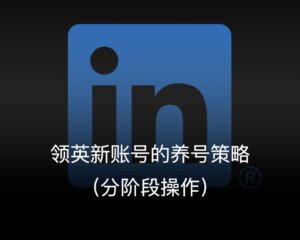 领英新账号的养号策略