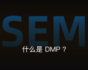 什么是DMP?